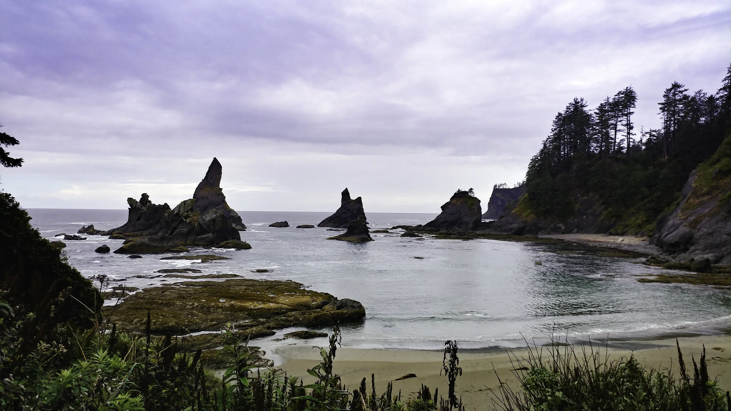 20170930_130512_HDR.jpg