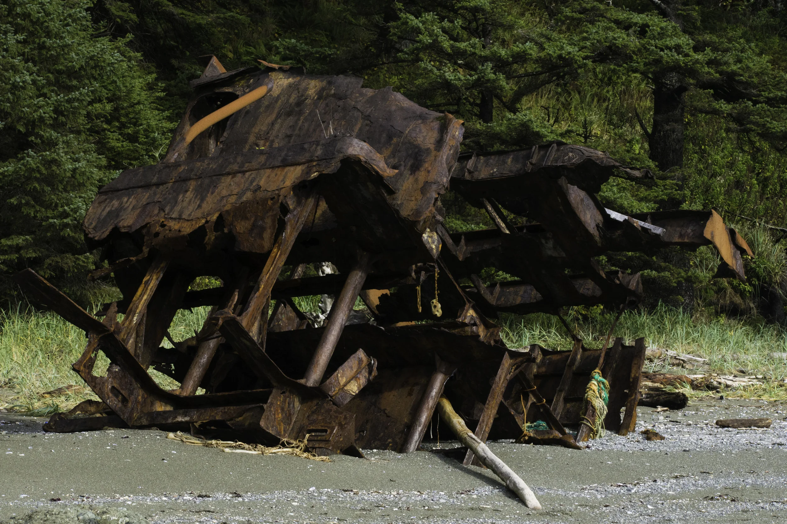 DSC_0766.jpg
