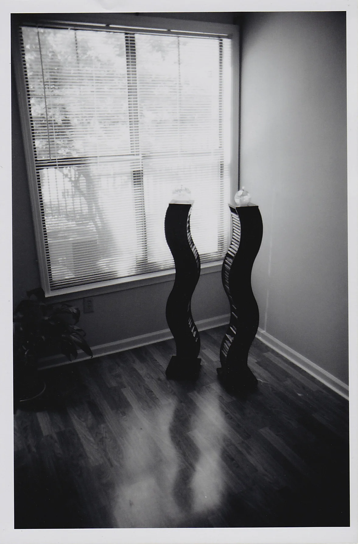 SCN_0031.jpg