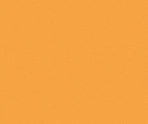 ProMat300x250_FINAL.gif
