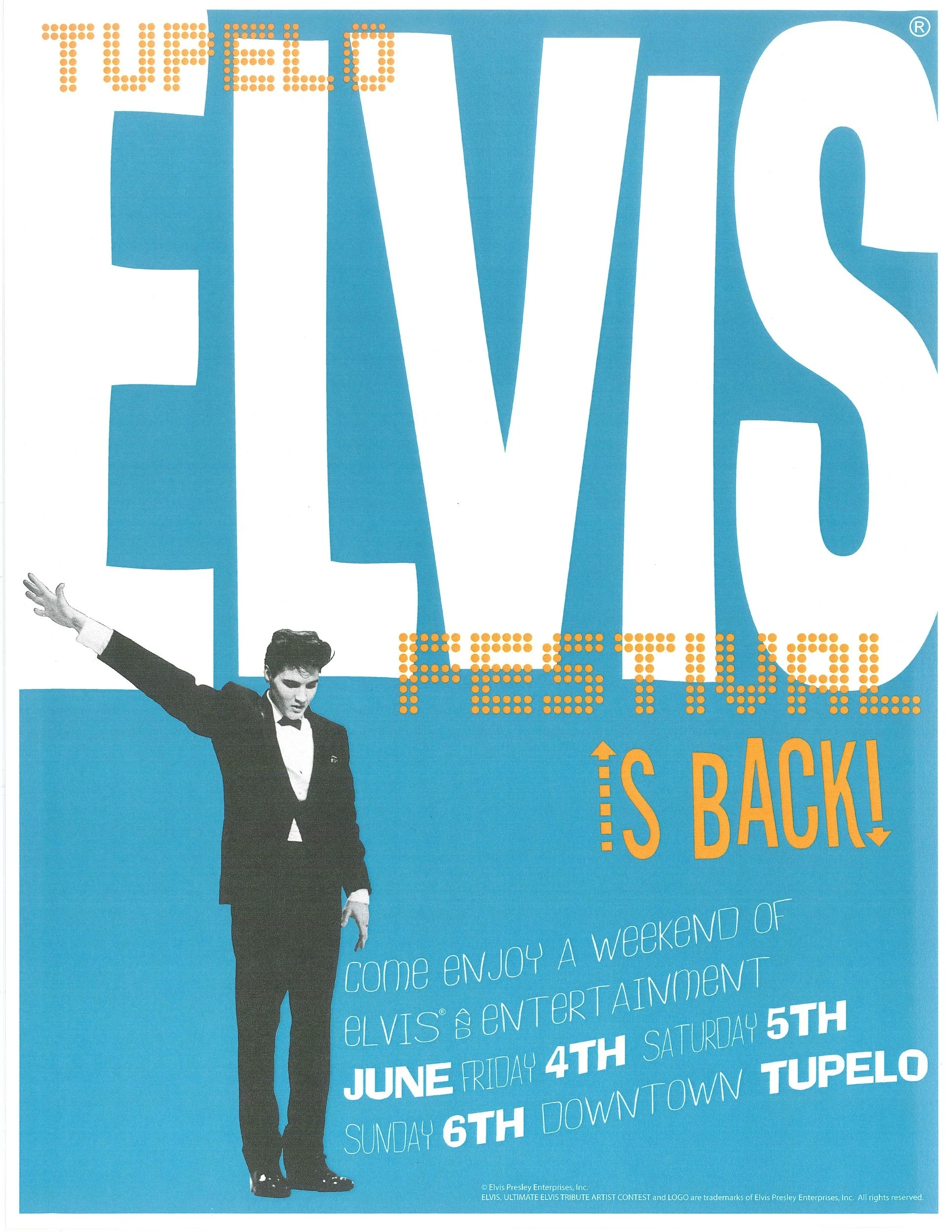 Poster 2010.jpg