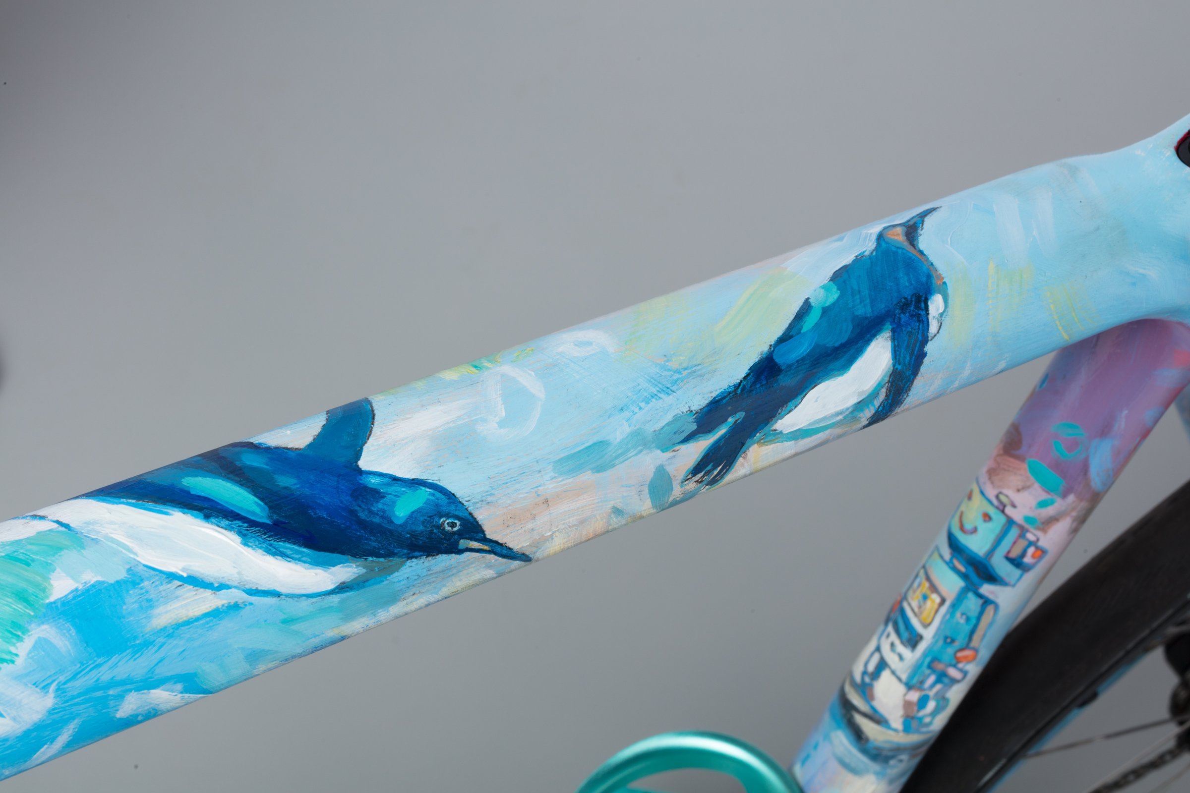 Custom Bicycle Painting