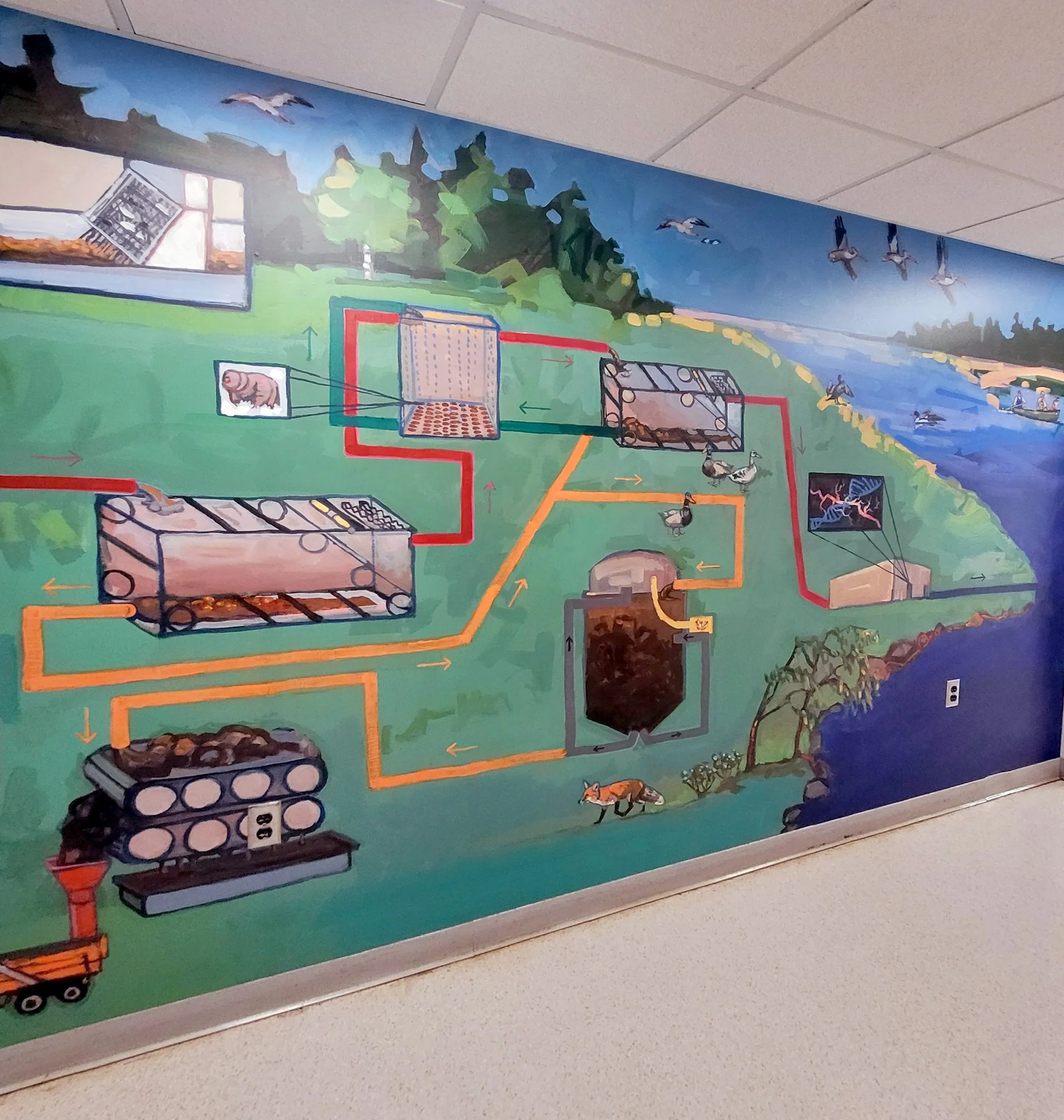 Wastewater Treatment Educational Mural