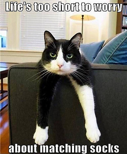 matching socks.jpeg