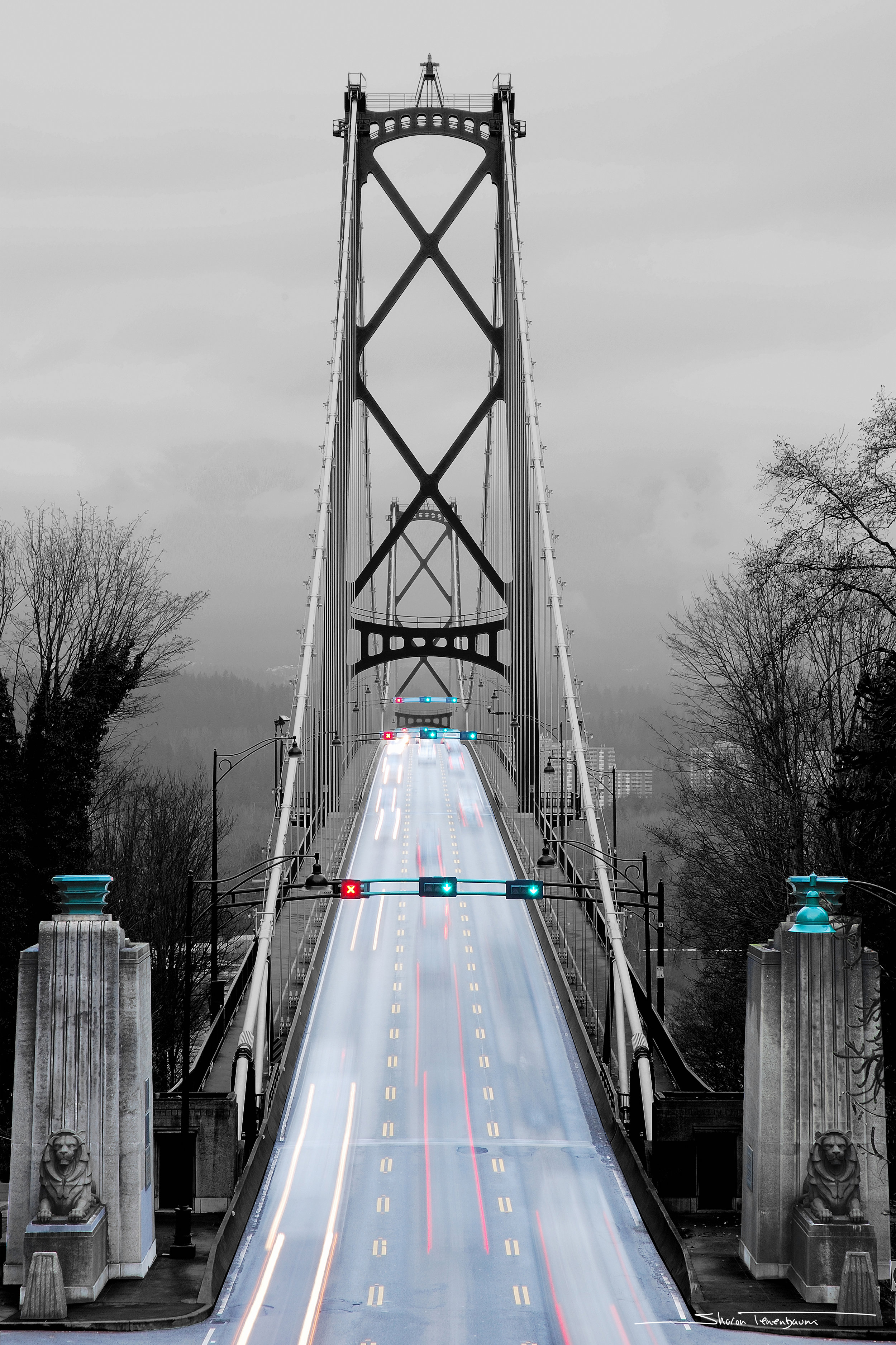 Lions' Gate Bridge Portrait