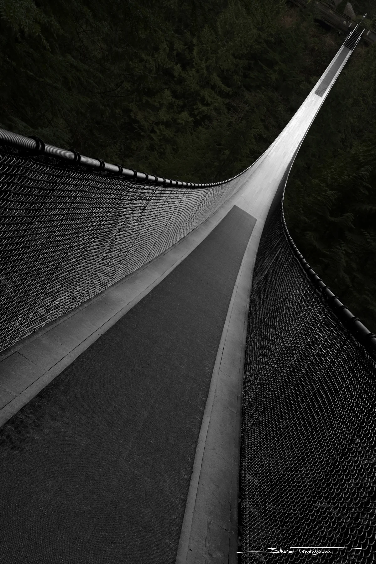 Figure 1 Capilano Bridge - Original