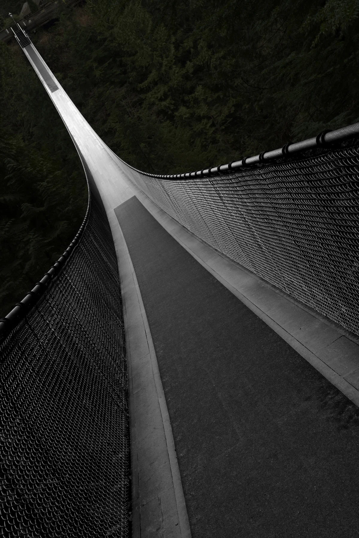 Figure 2 Capilano Bridge - Rotated