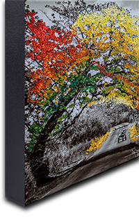 Cuban Tree Painted - Canvas Edge small.png
