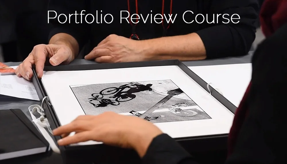 Portfolio-reveiw icon.jpg