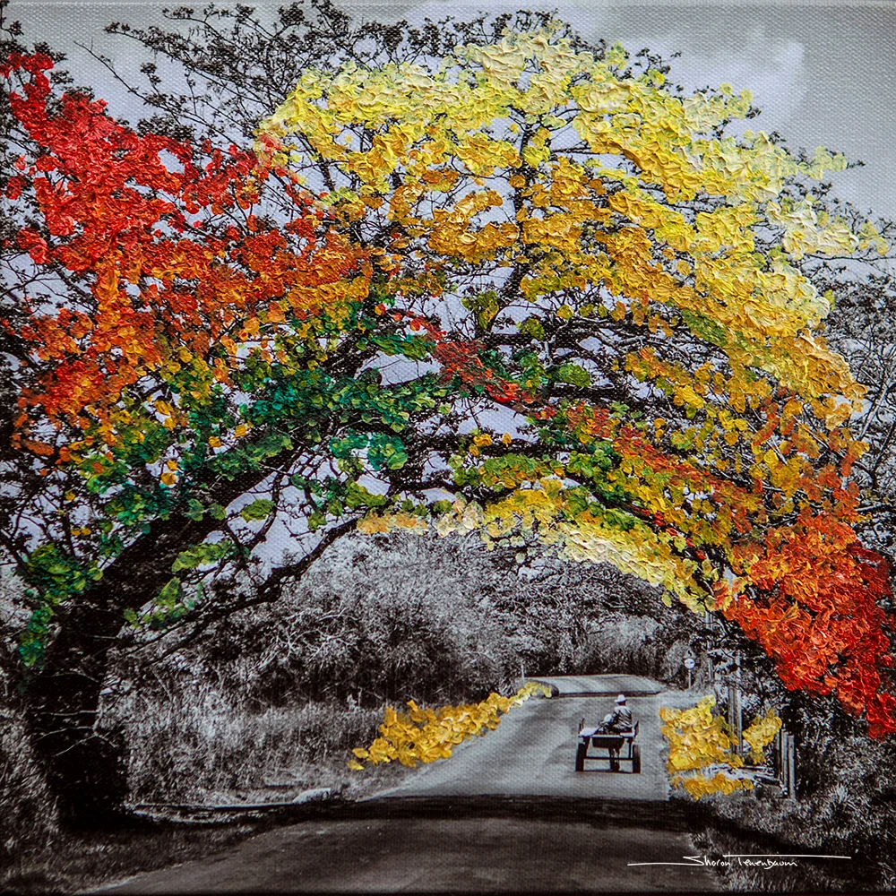 Cuban Tree Painted