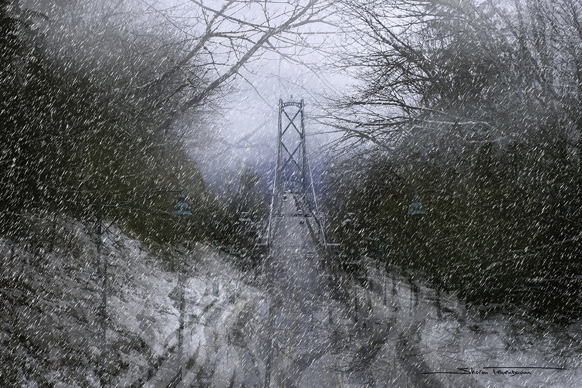 Lions' Gate Bridge 'Snow' - Vancouver BC