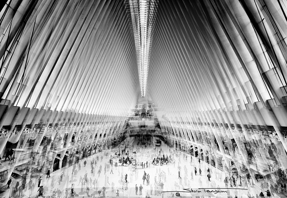 The Oculus - NY