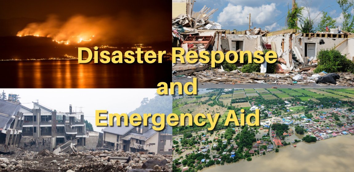 Disaster Response and Emergency Aid banner.jpg