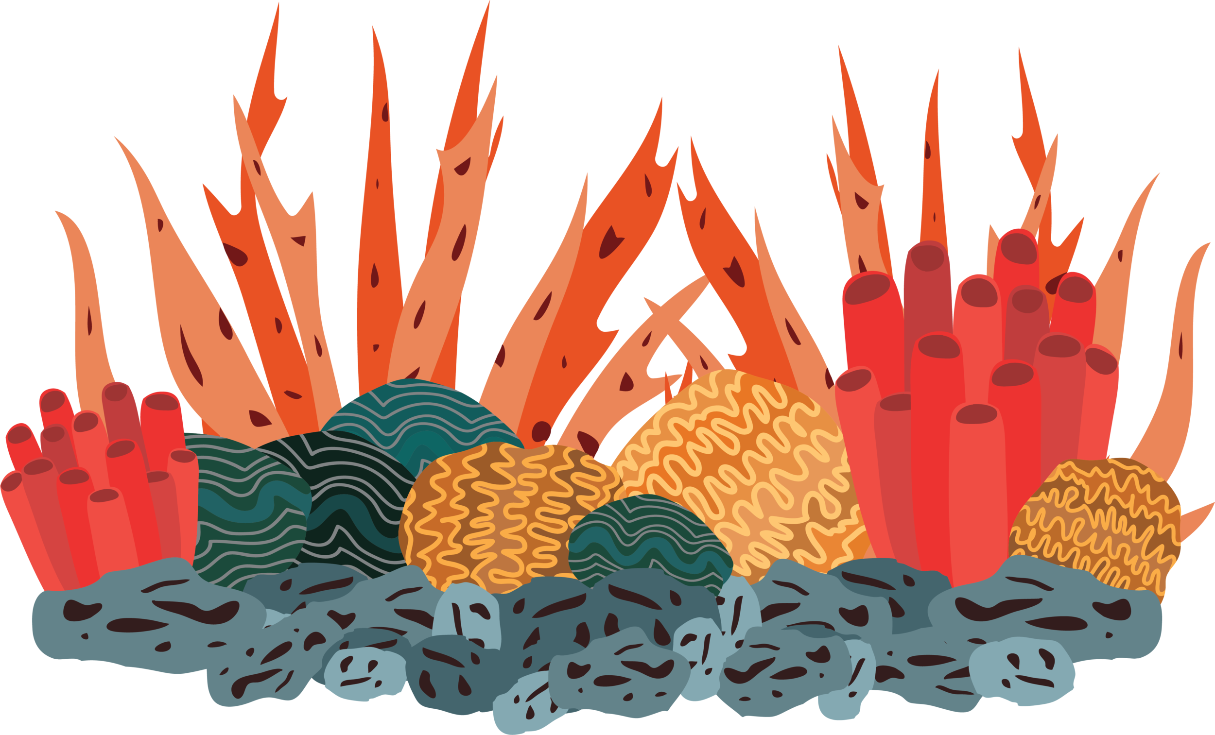 Coral
