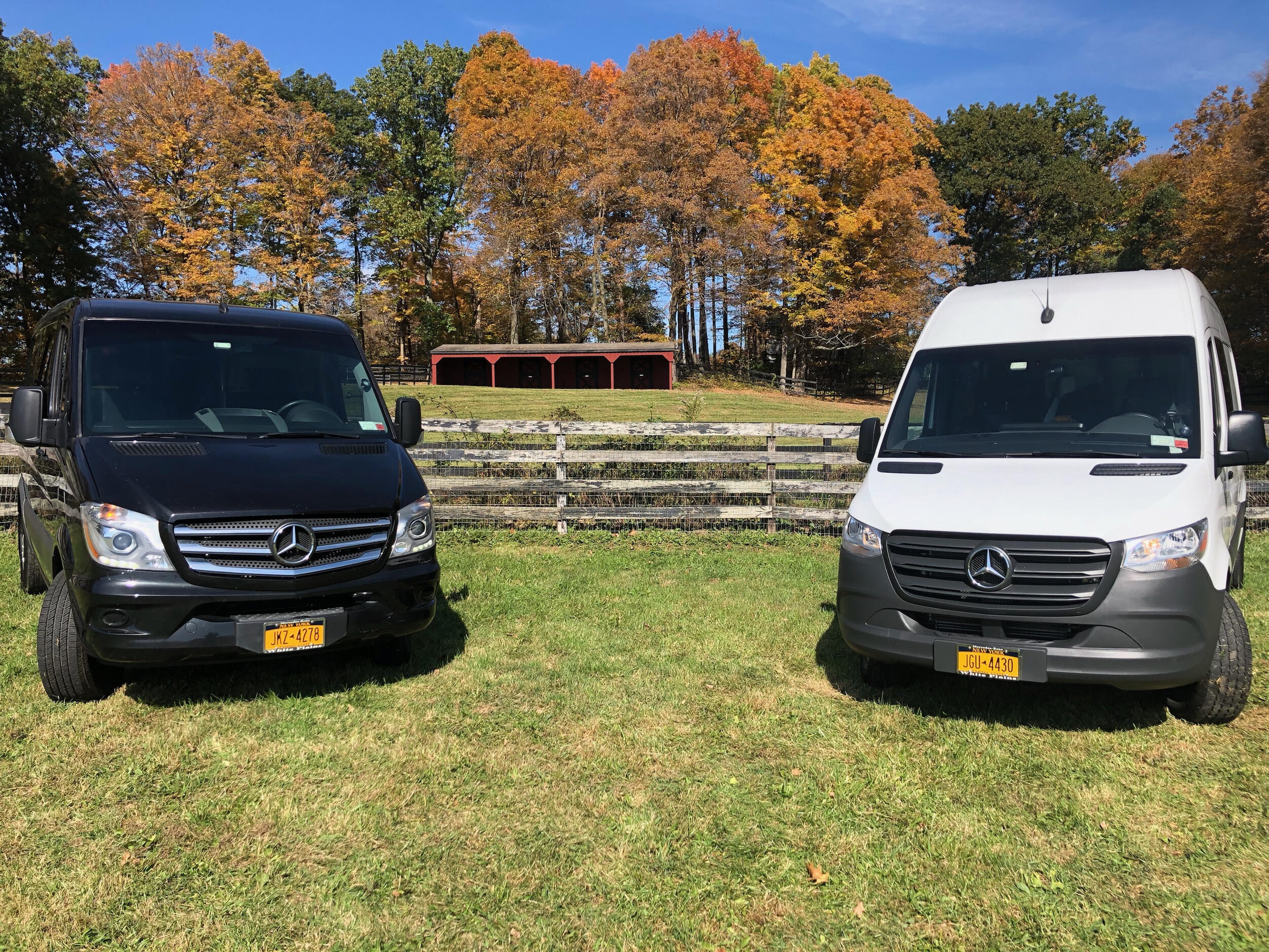 both vans.jpg