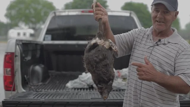 Living Water - proof of concept