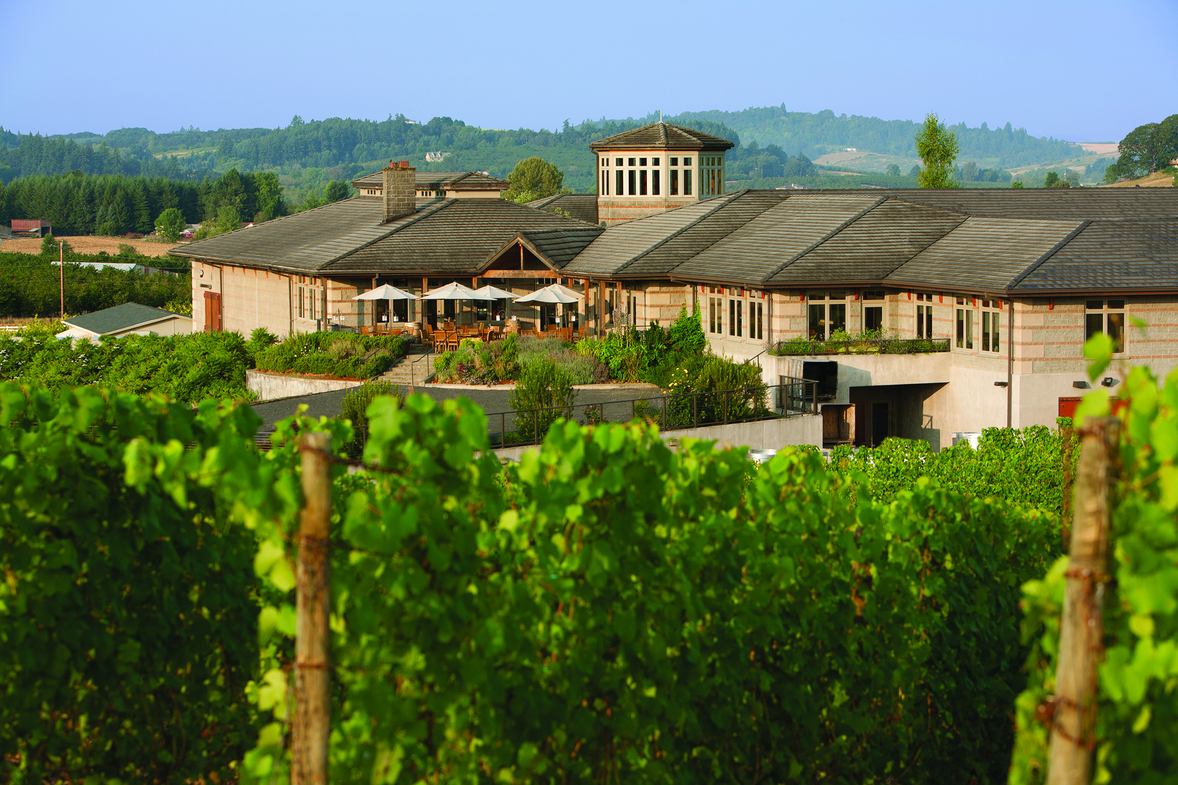 Outside view of Adelsheim Winery