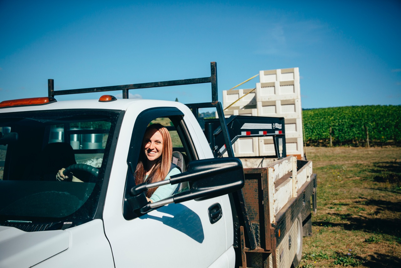 Woman Driving Truck during Grape Harvest at Adelsheim