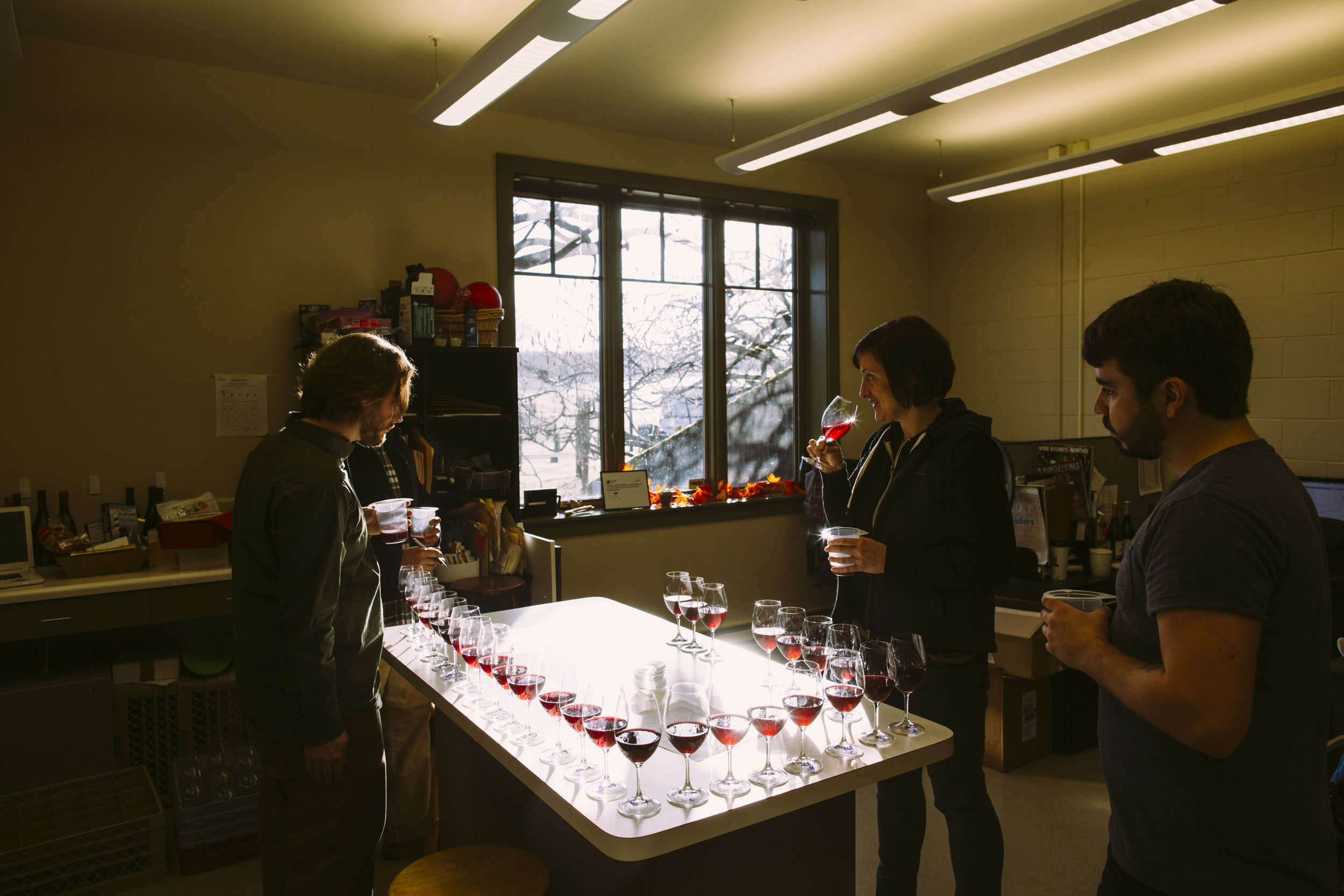 Adelsheim Employees Taste Various Wines