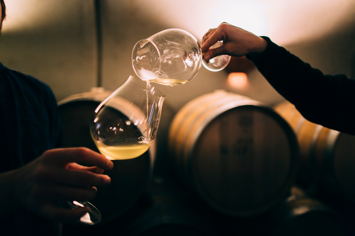 chardonnay02.png