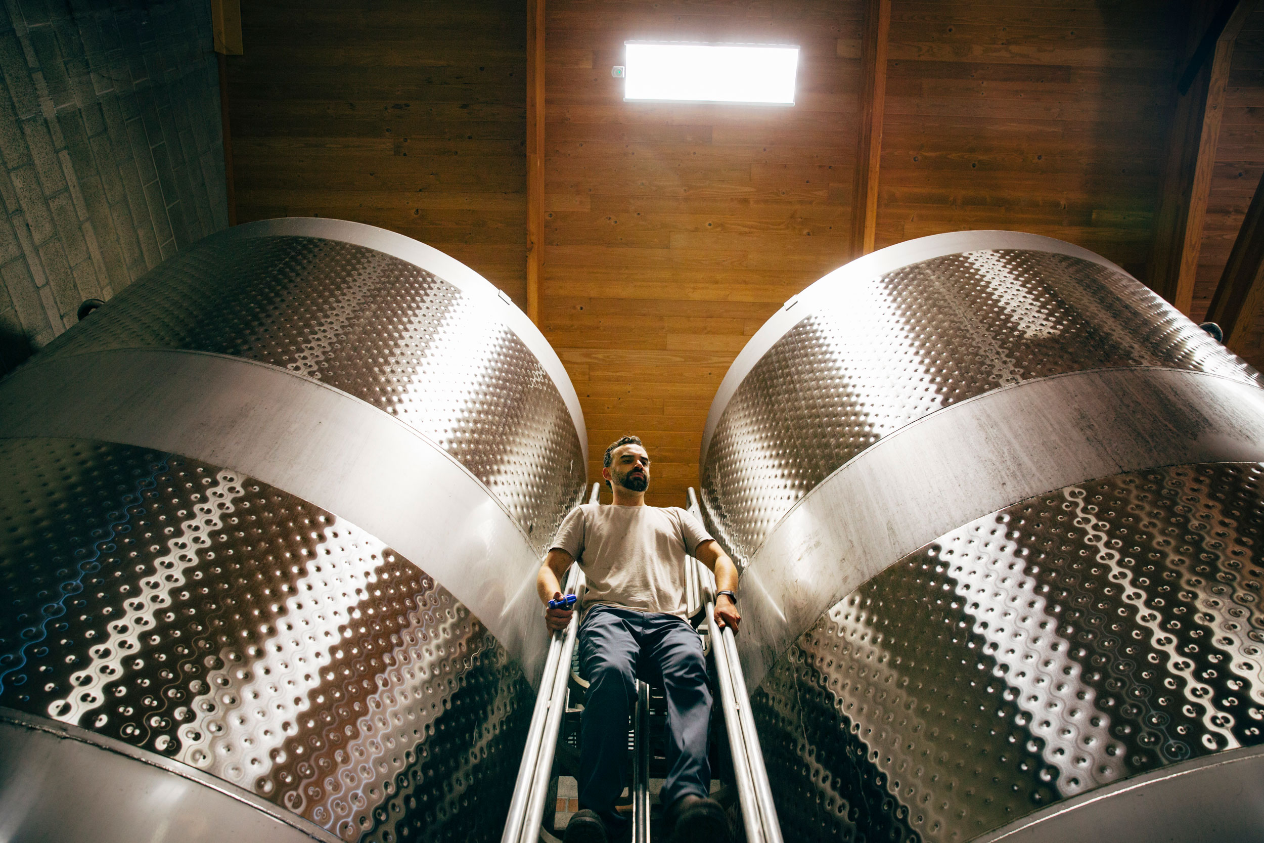 Steel Drums of Wine at Adelsheim