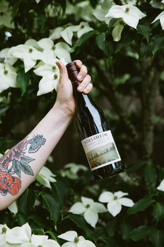 2018 Willamette Valley Pinot noir (Copy)