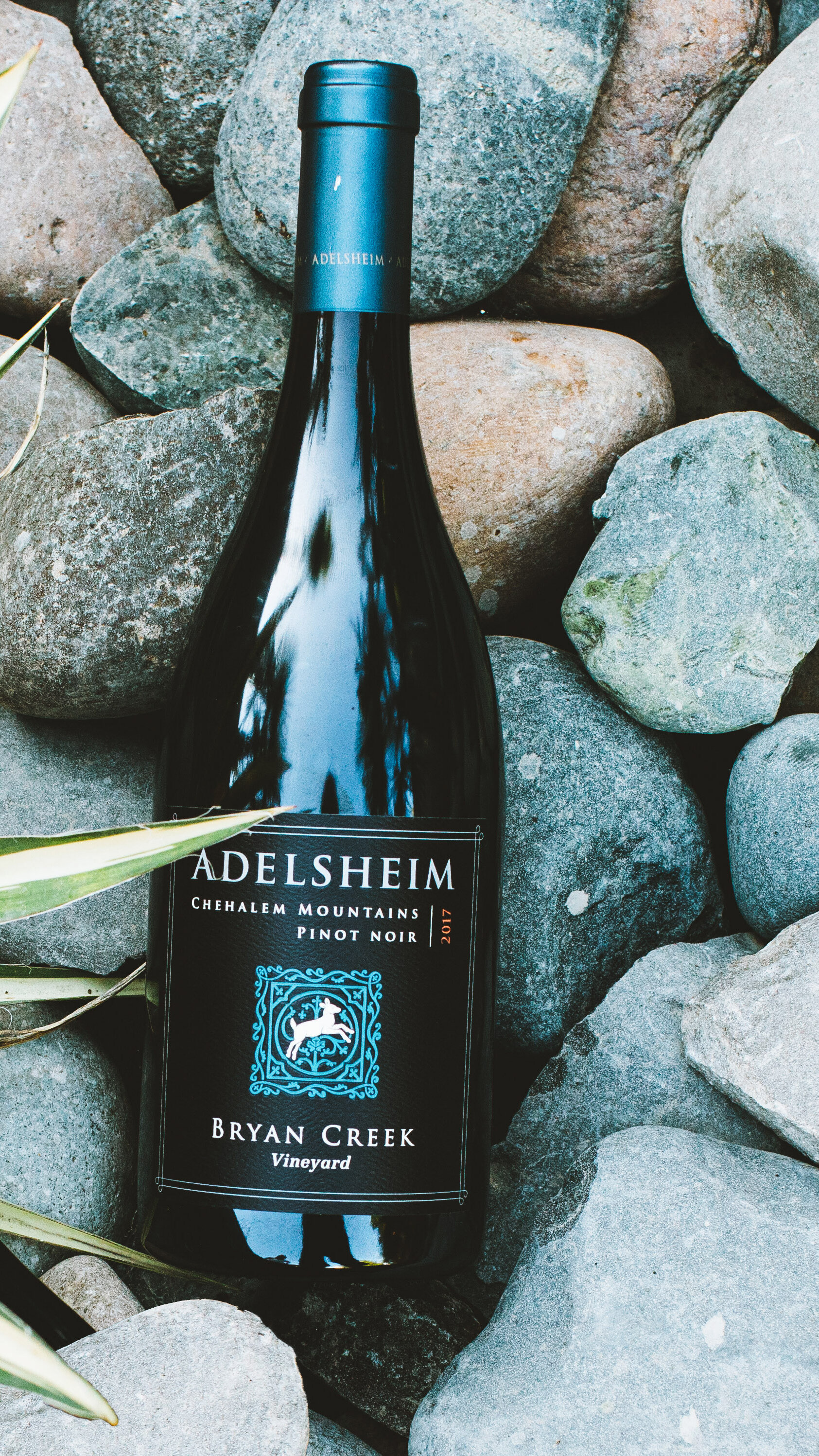 Adelsheim 2017 Bryan Creek Pinot noir  (Copy)