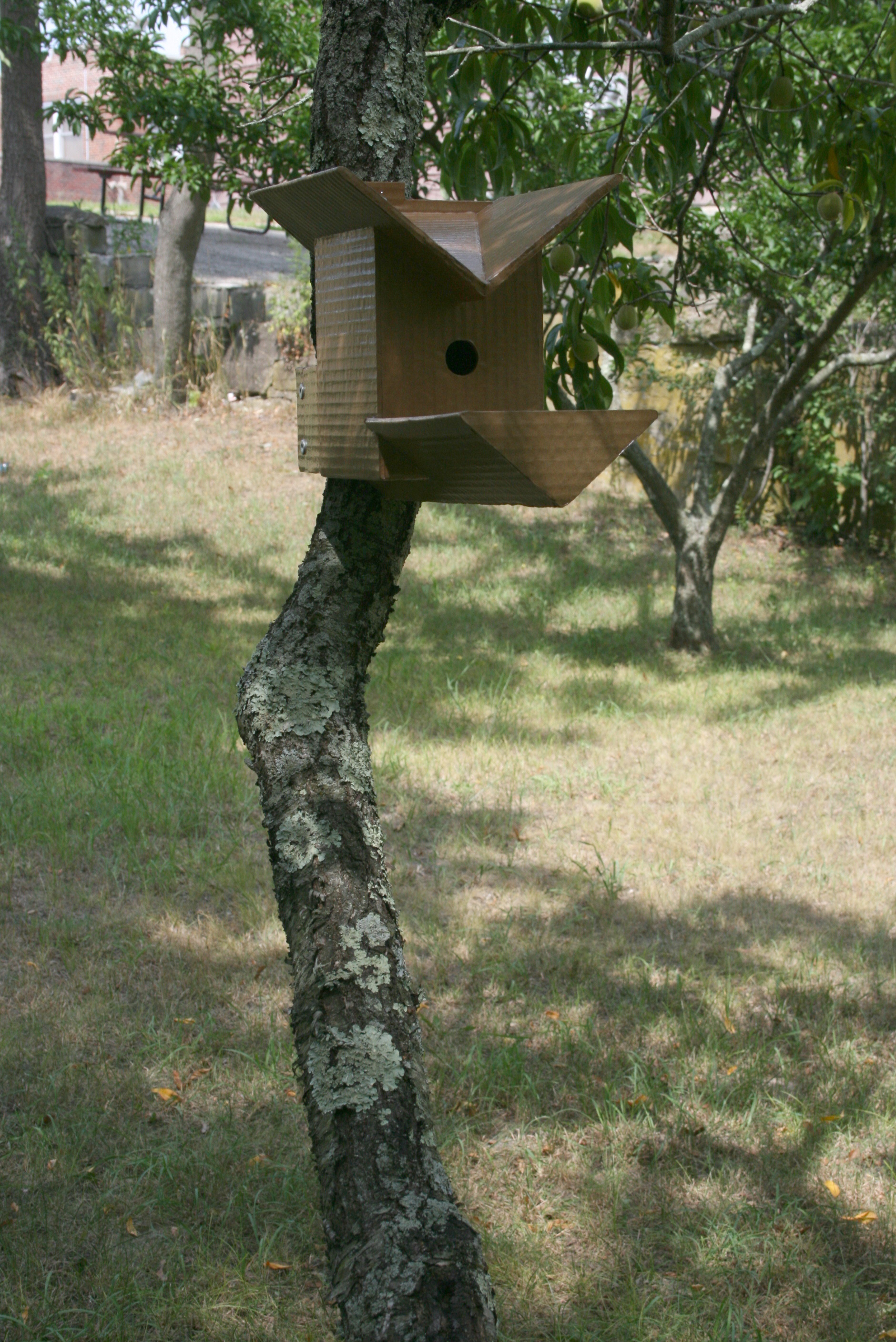 Bird House