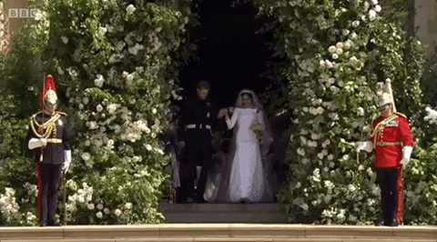 giphy-1.gif