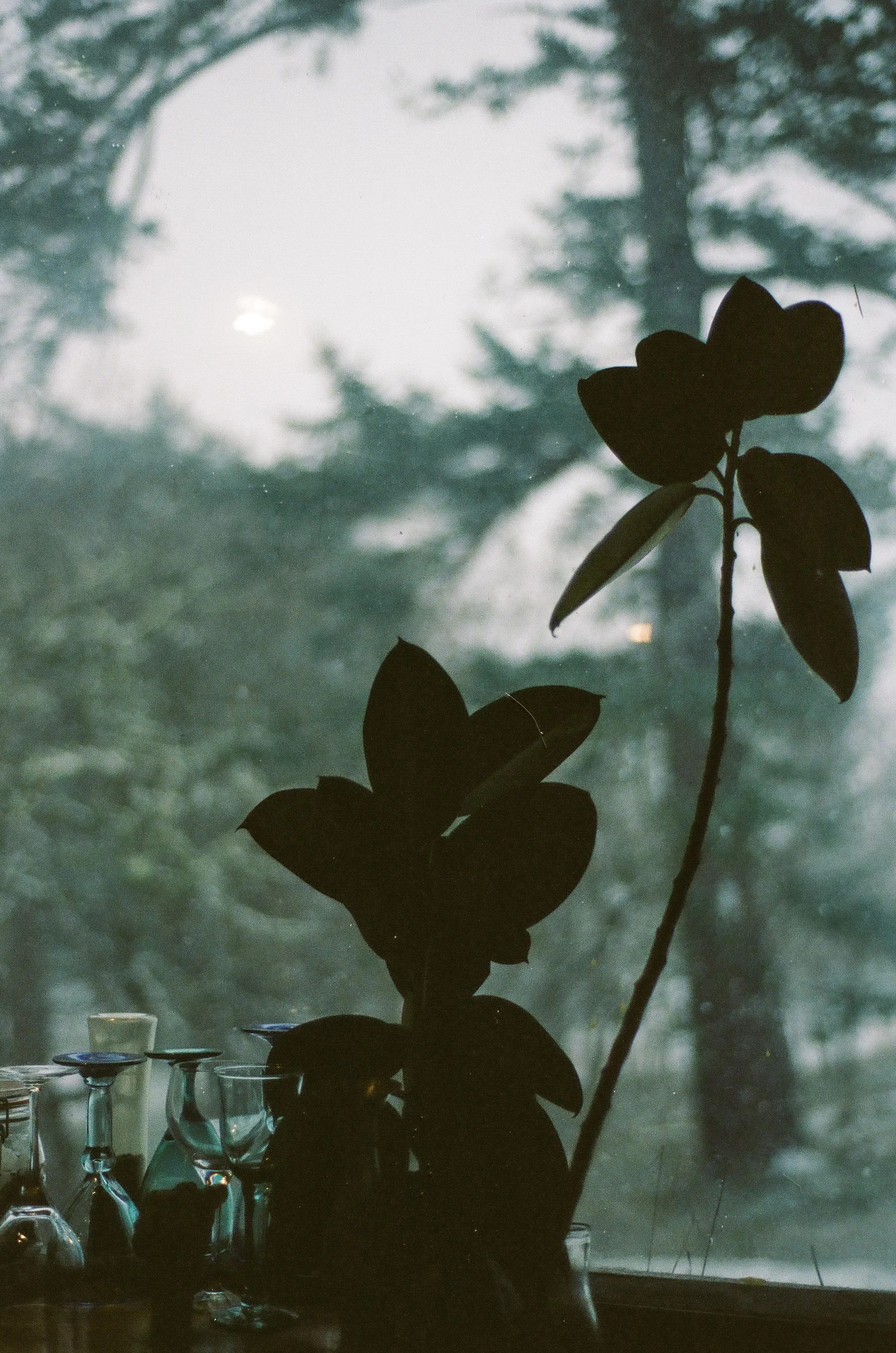 Favorites - 36 of 42.jpg