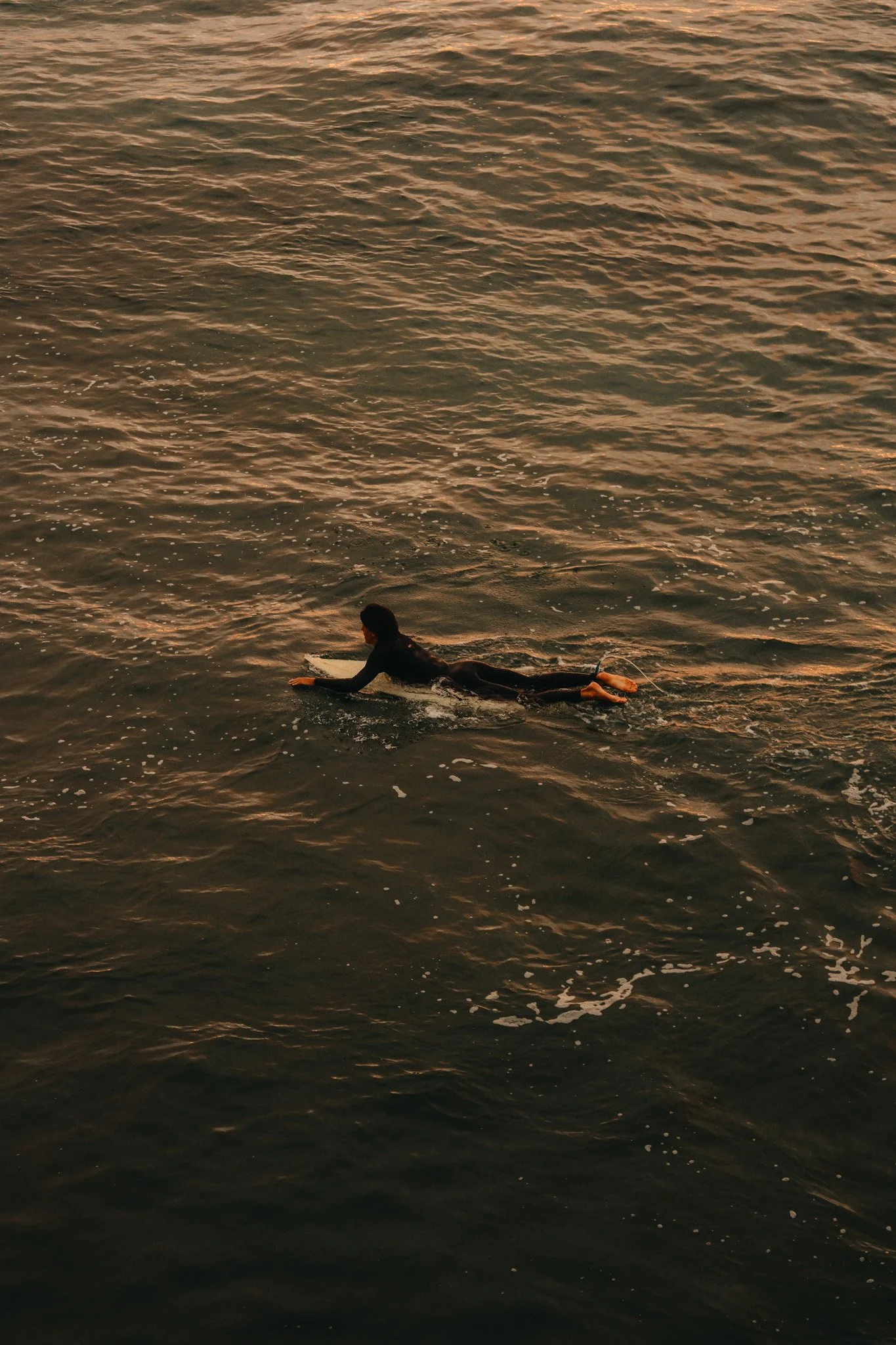 surfcolor-63.jpg
