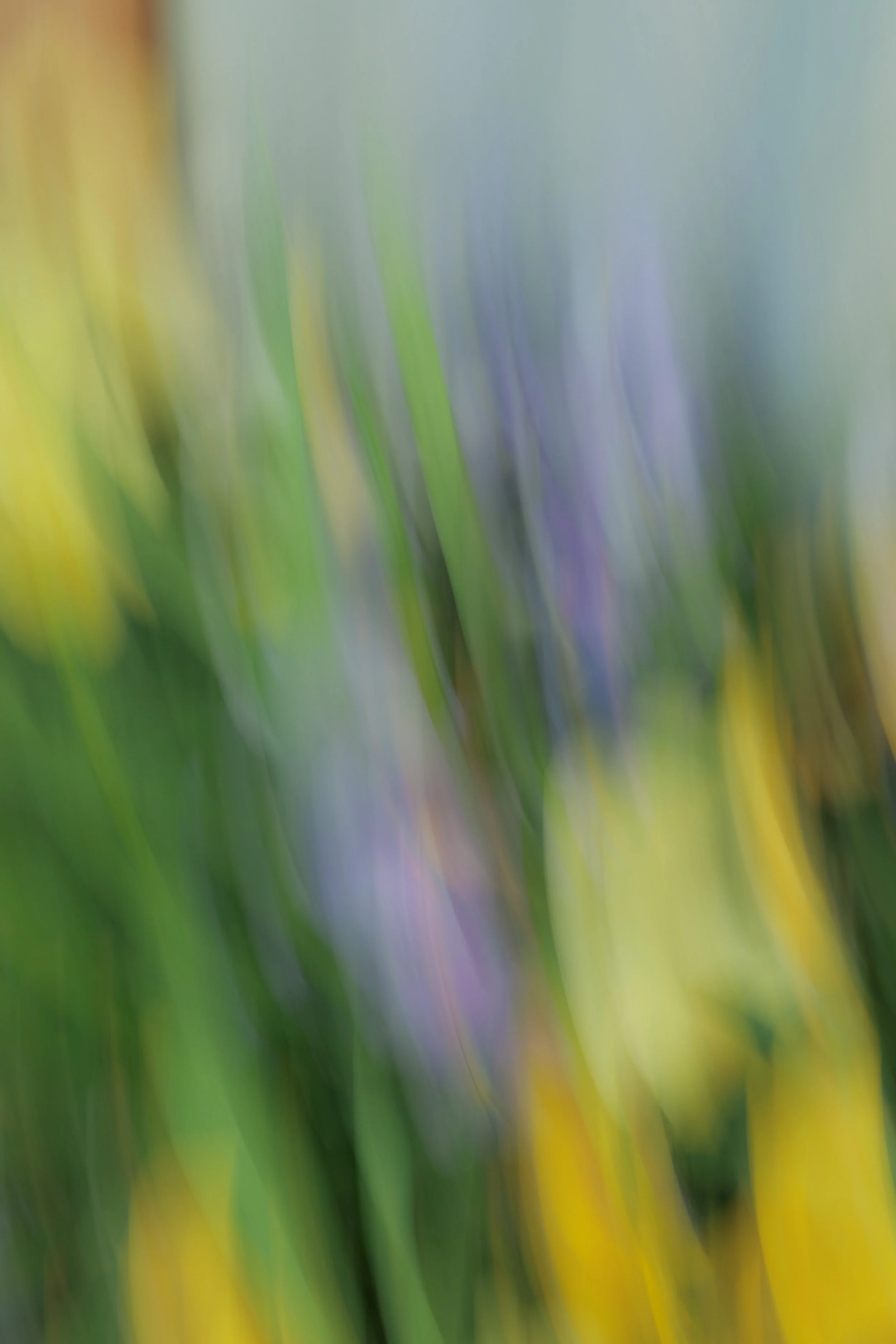 flora-26.jpg