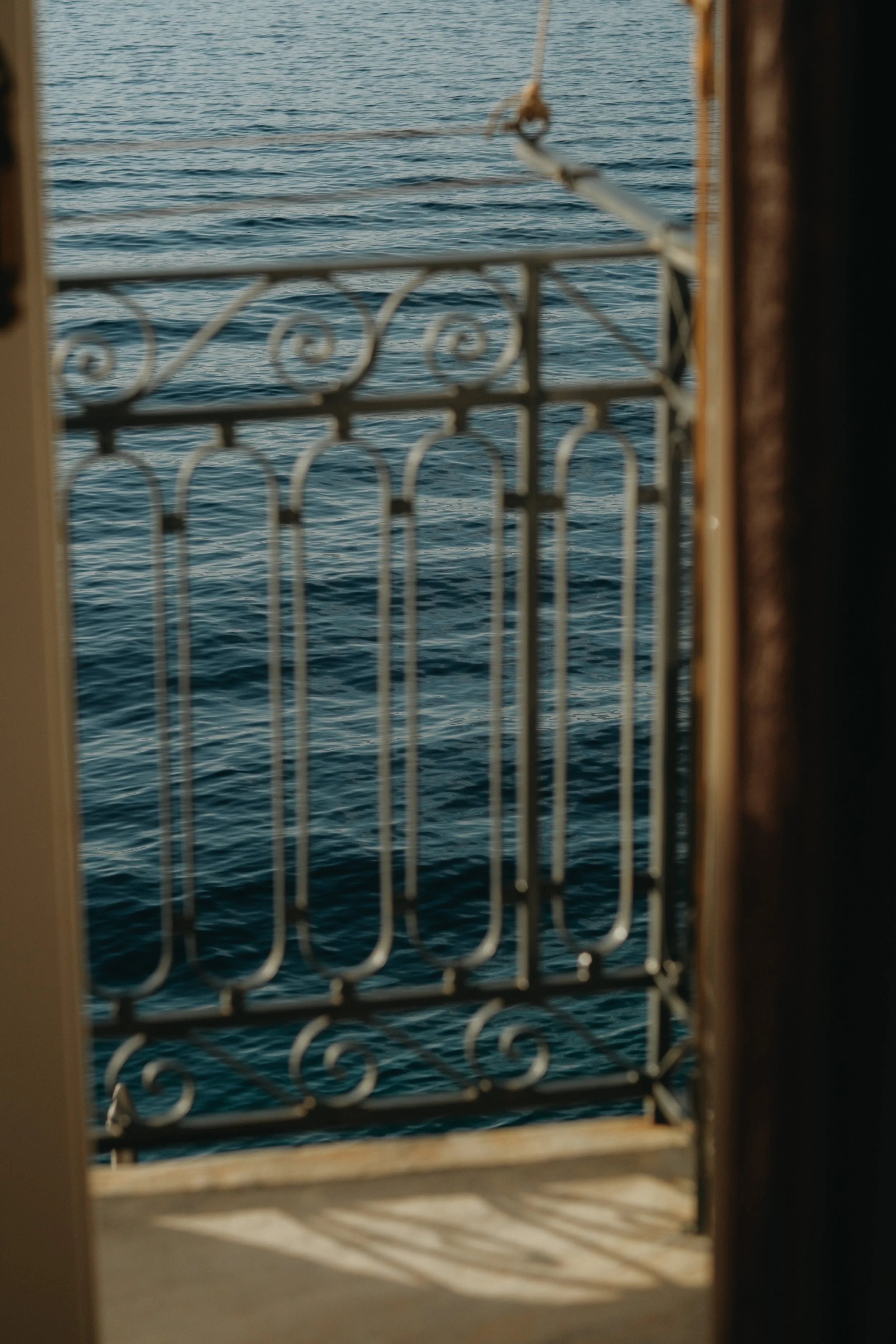 hydra-12.jpg