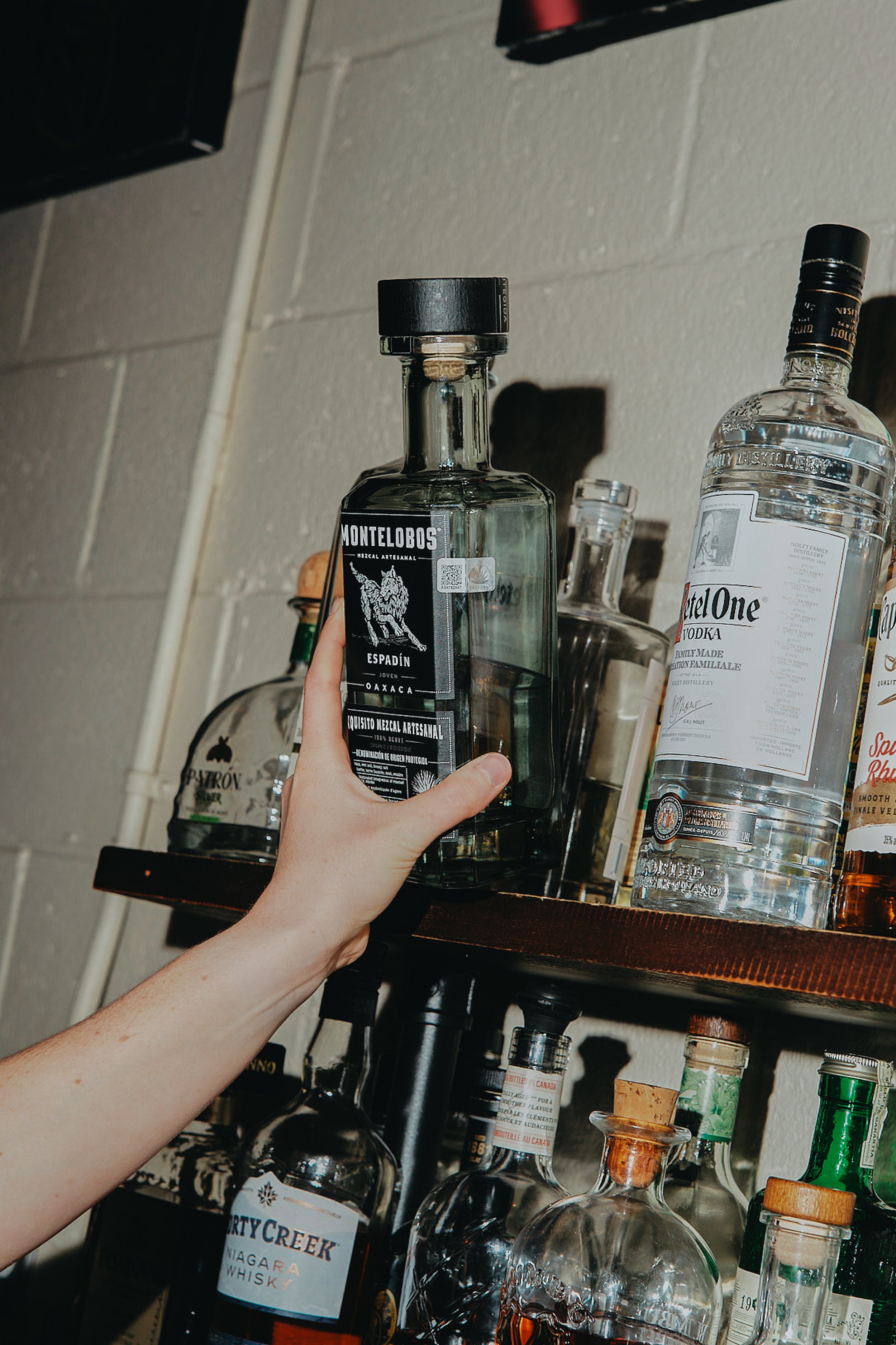 aila-2.jpg