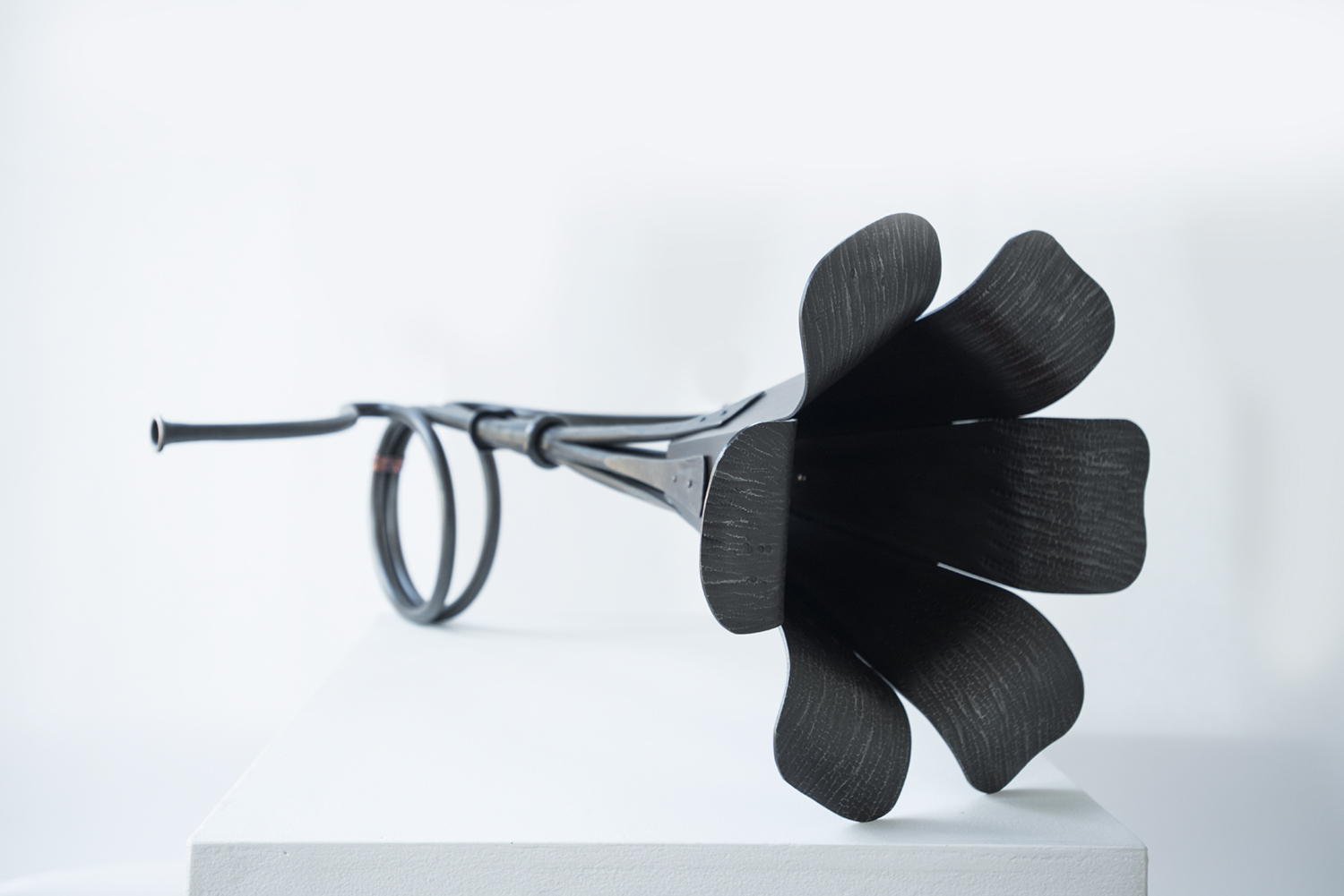 Song For Two Voices, 1.jpg