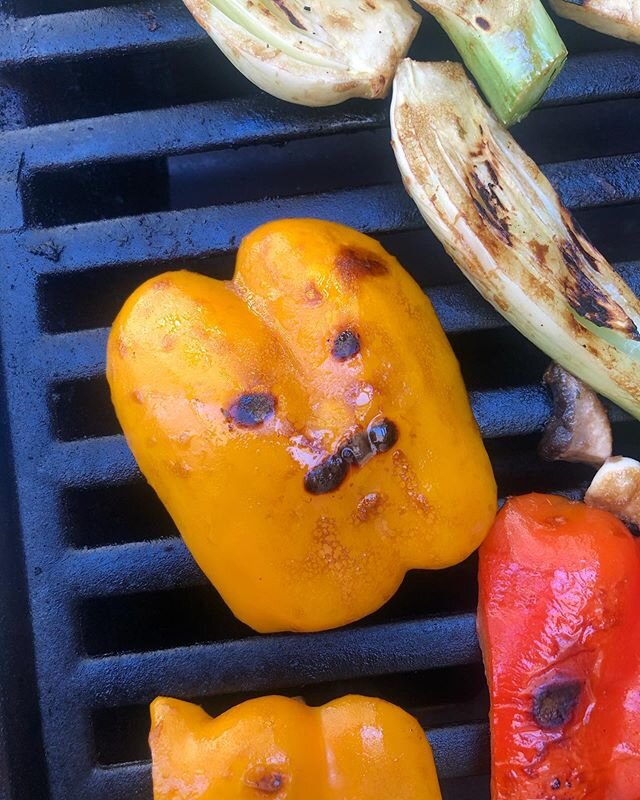 These are some assorted photos from my trip to 2020. I can&rsquo;t wait to get back to not 2020! Hey friends! Let&rsquo;s vote! Let&rsquo;s donate! Let&rsquo;s read! Let&rsquo;s make 2021 less like this pepper face!