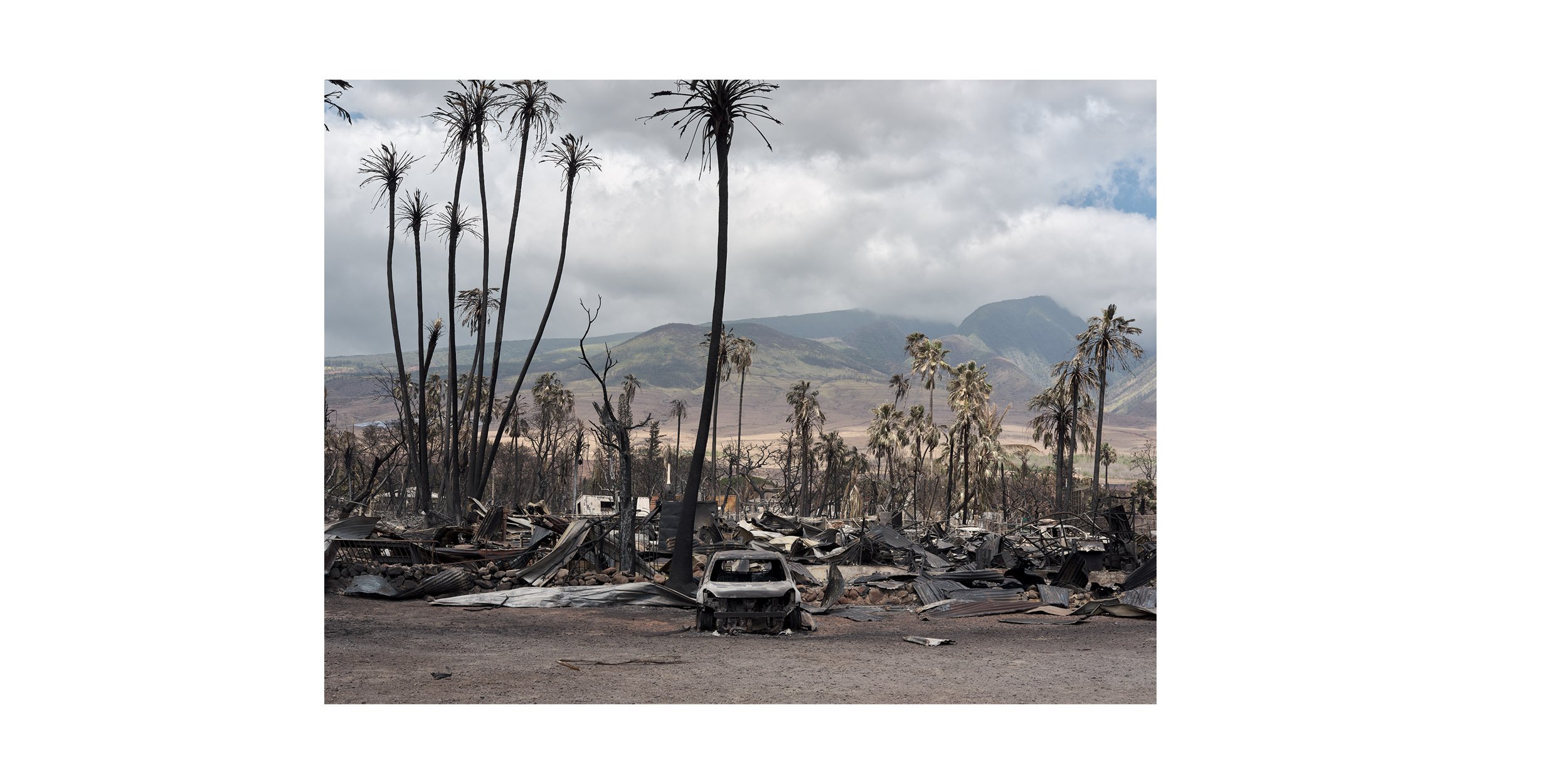  Lahaina Wildfire - THE NEW YORK TIMES 