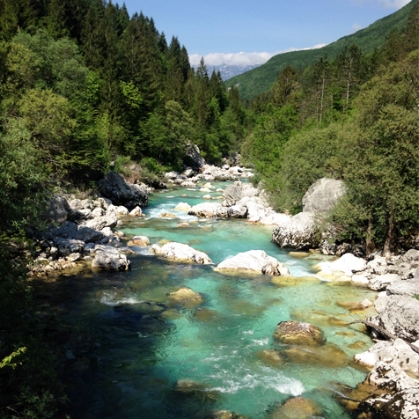 river 2.jpg