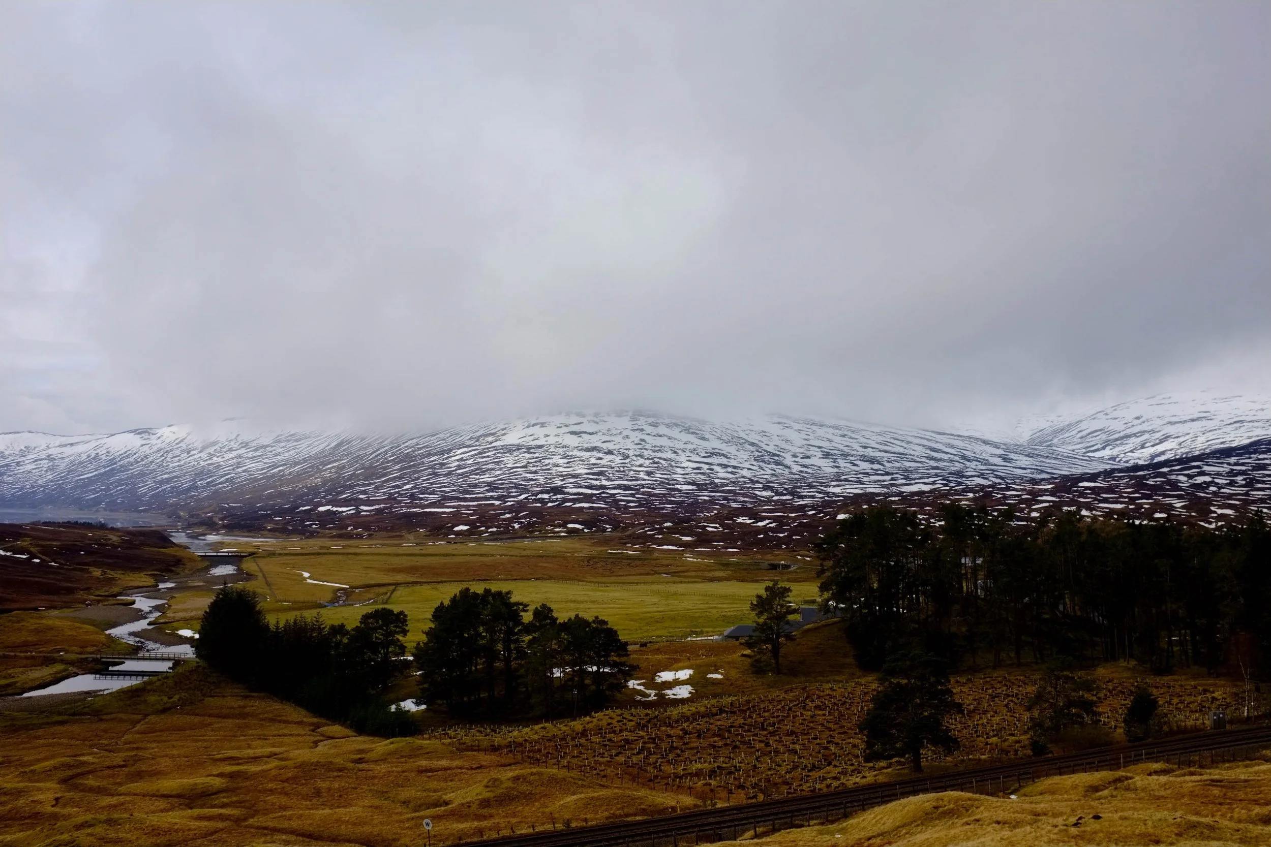 DSCF0880.jpg