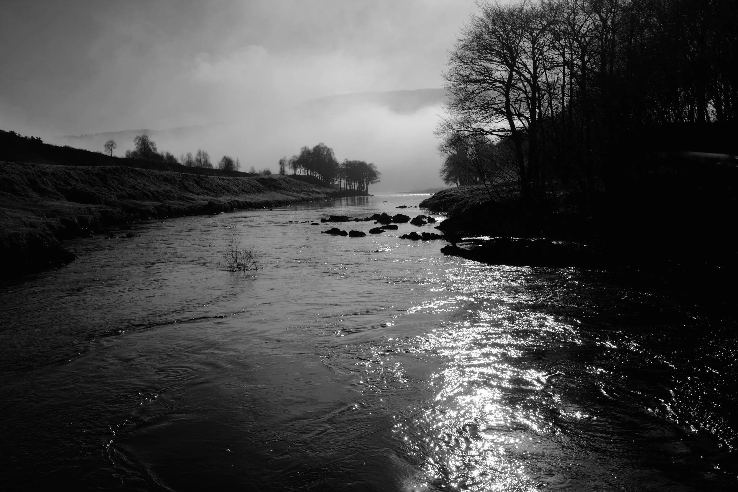 DSCF0913.jpg