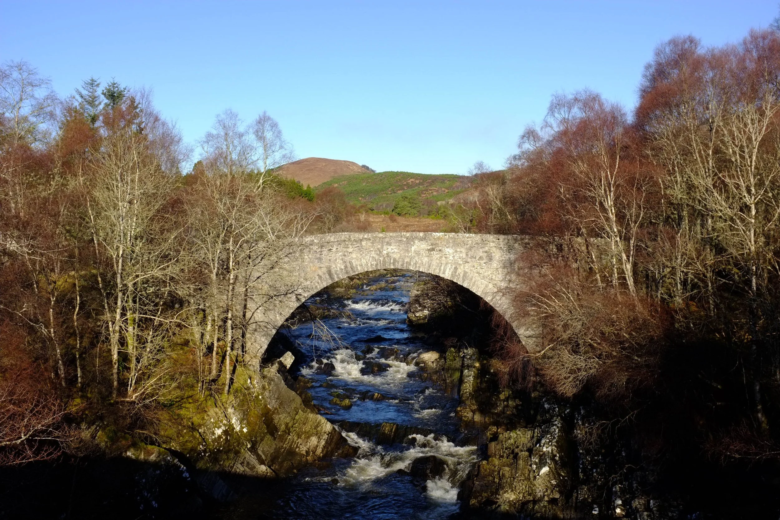 DSCF0947.jpg