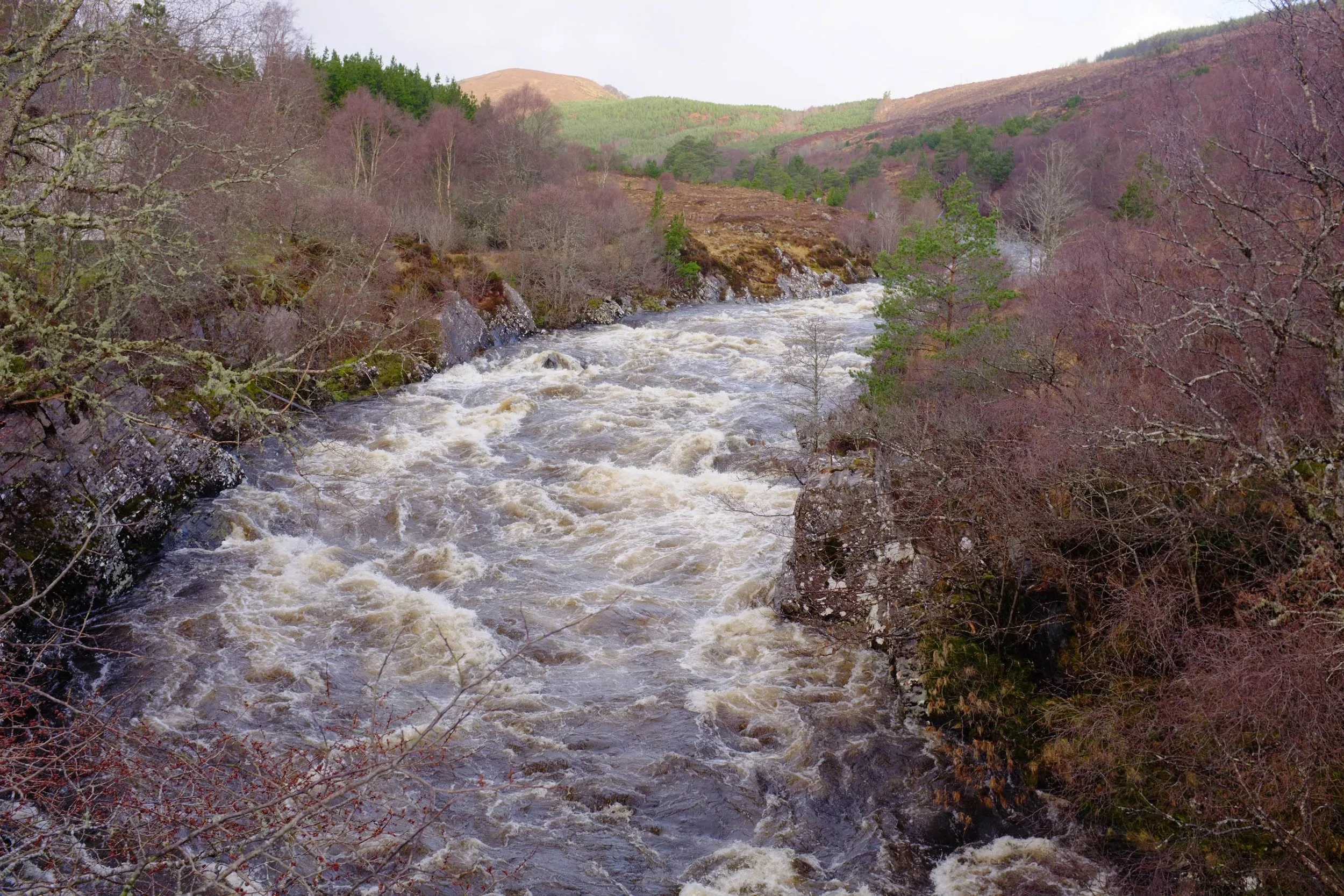 DSCF3717.jpg