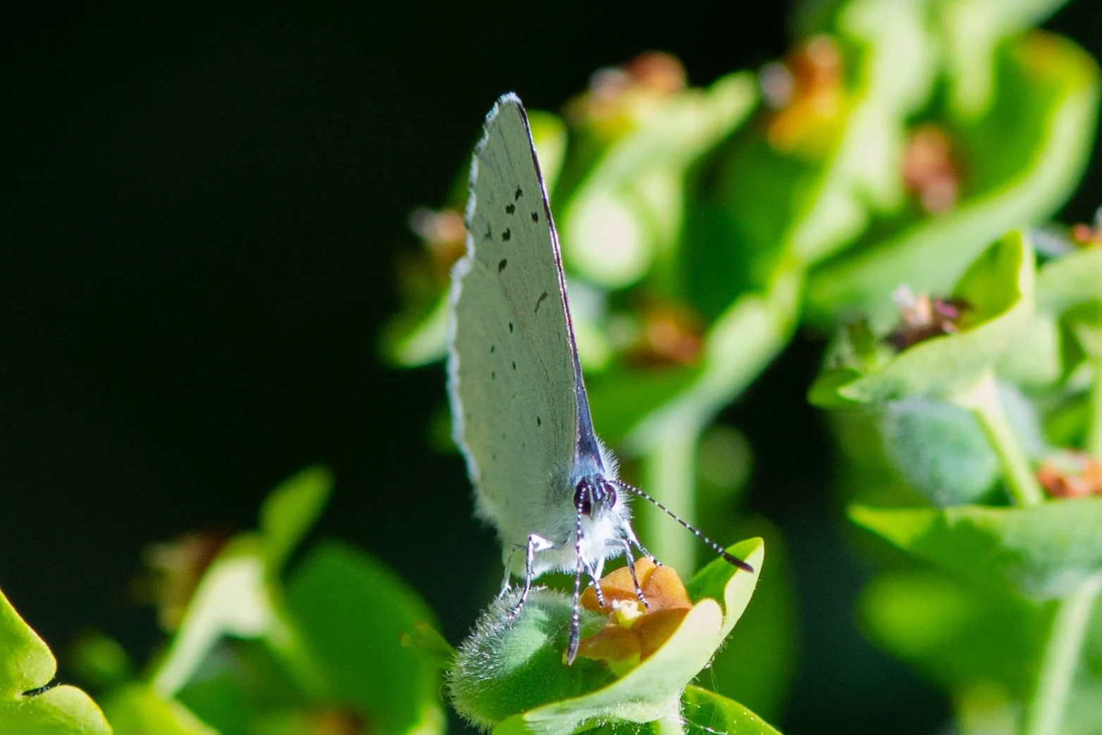 DSC_5825.jpg