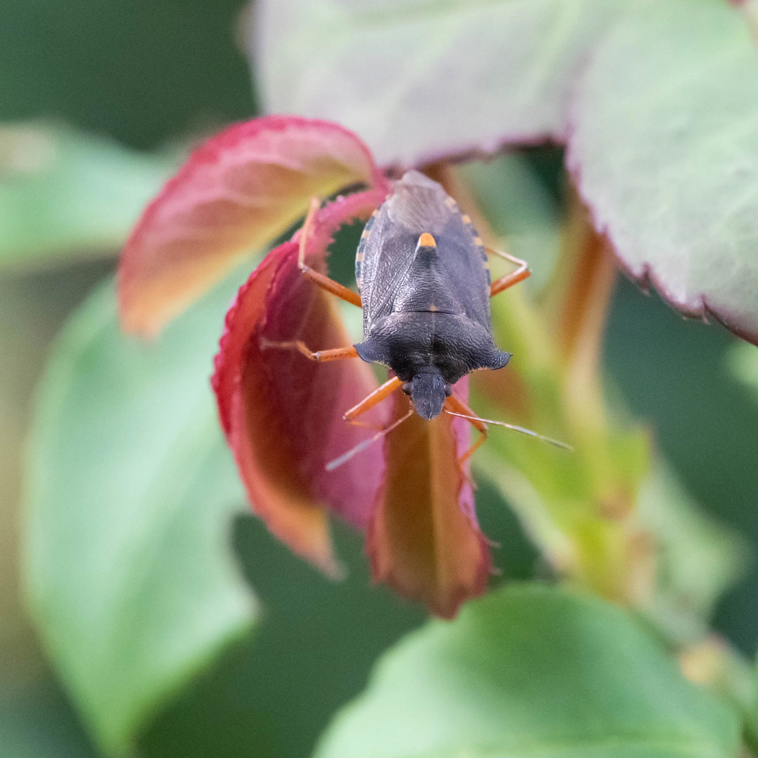 DSC_7290.jpg