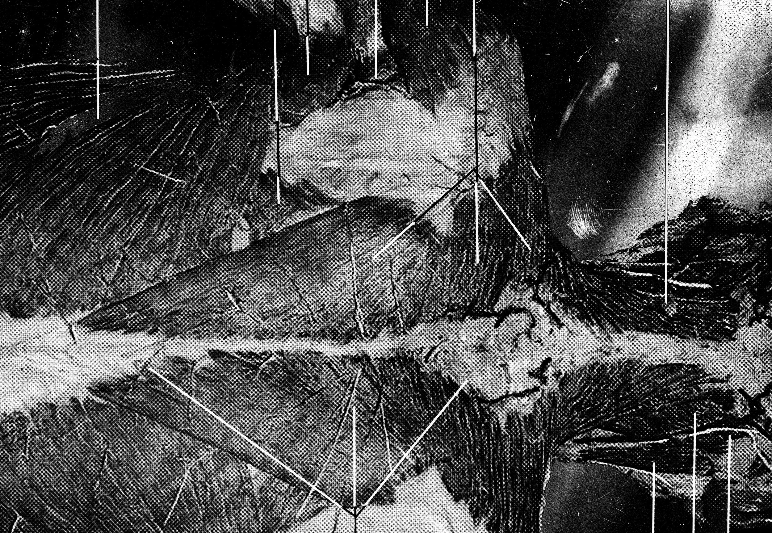 Dorsal Aspect of Torso