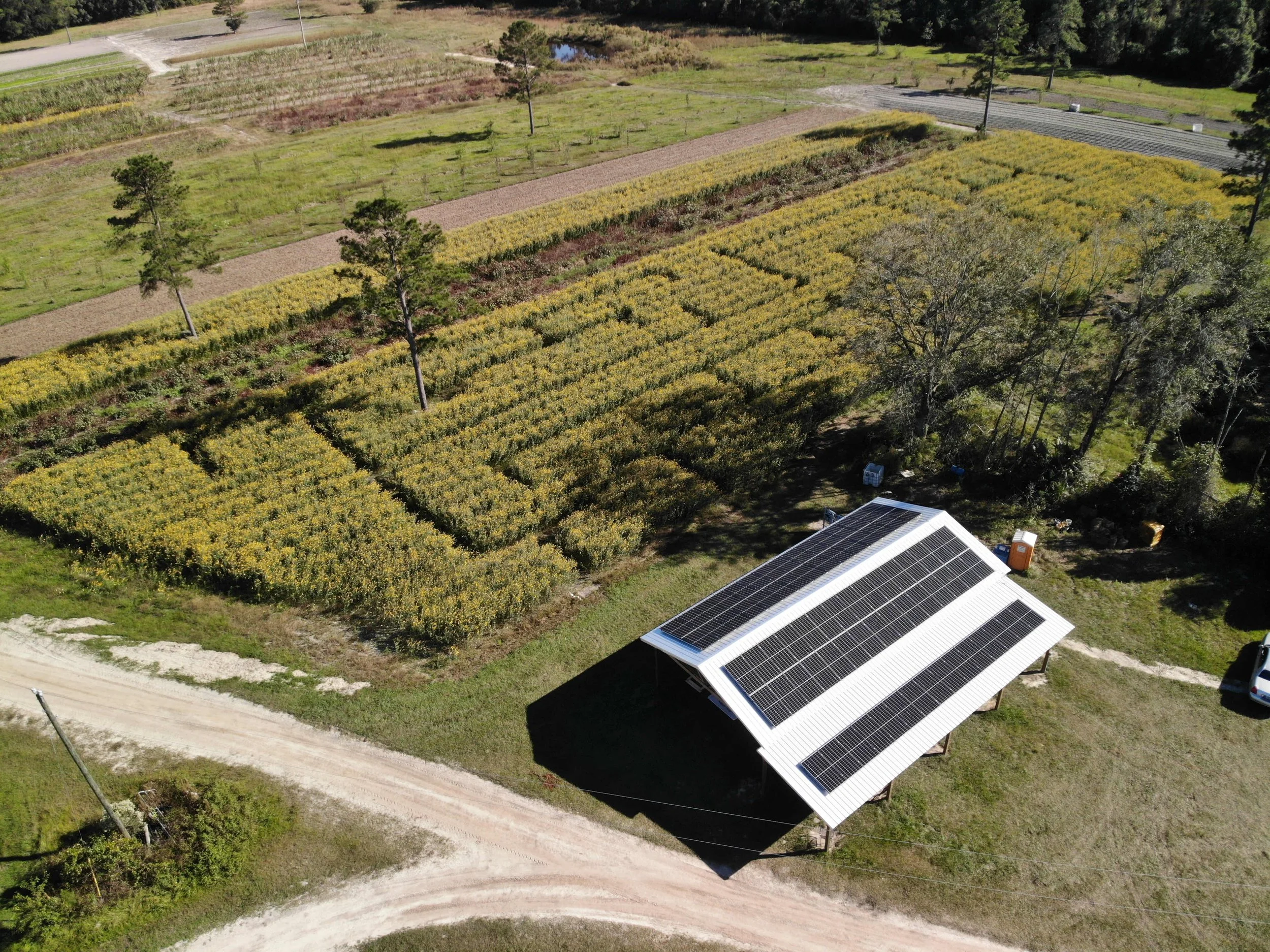 Solar Panel REAP Grants and Loans
