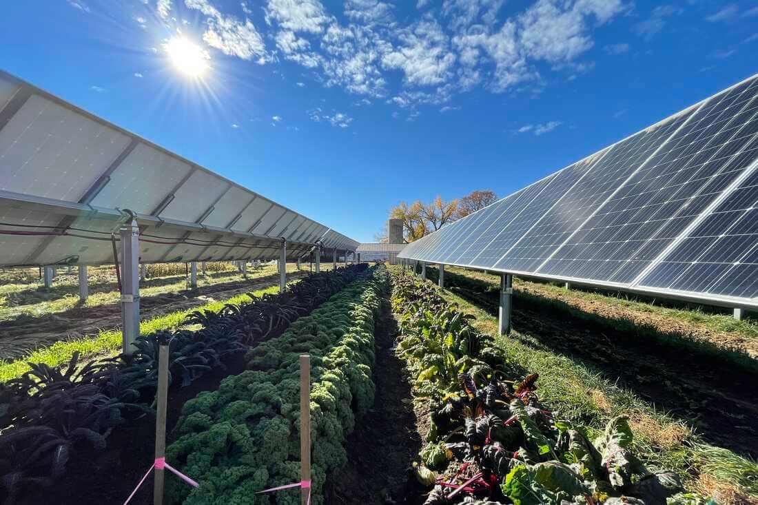 Solar Panels for Farms and Agriculture — Install a Solar Power System for  Your Farm Today! | PPM Solar