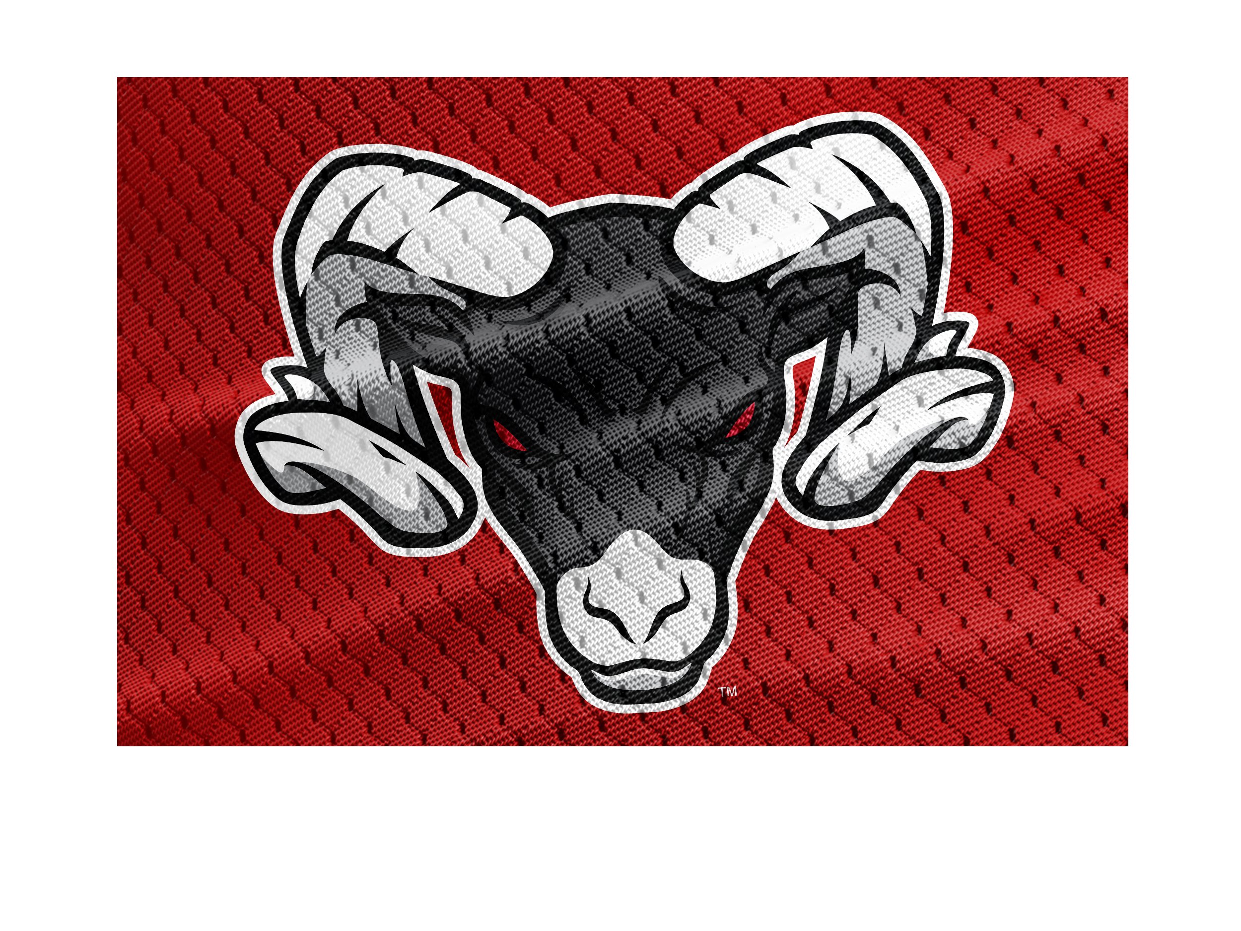 Logos 3.jpg