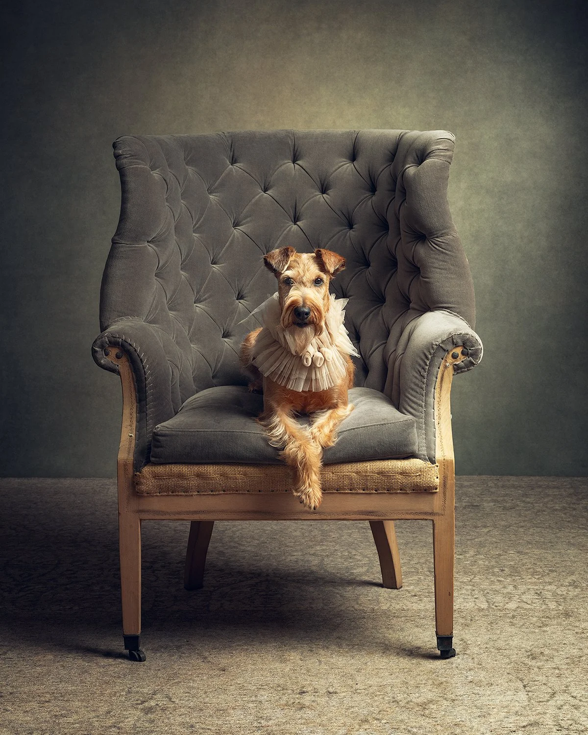 Irish Terrier 3 REV.jpeg