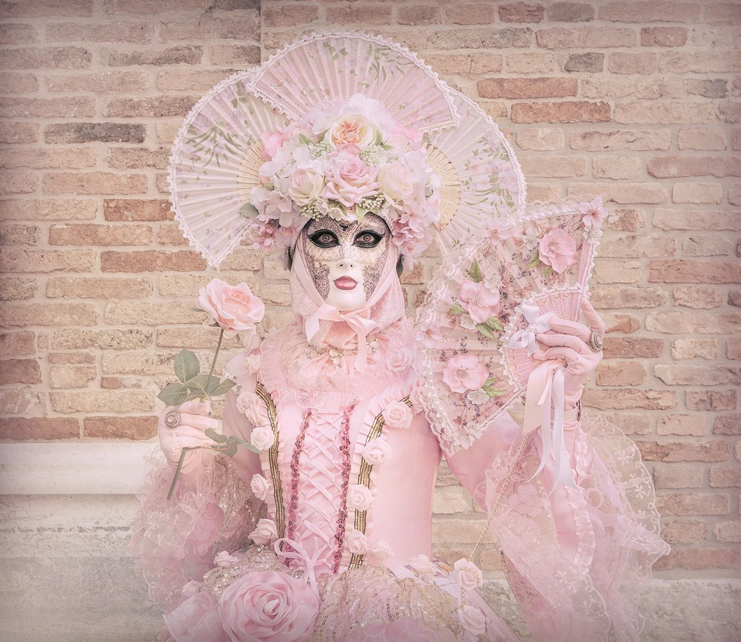 Dolly.jpg